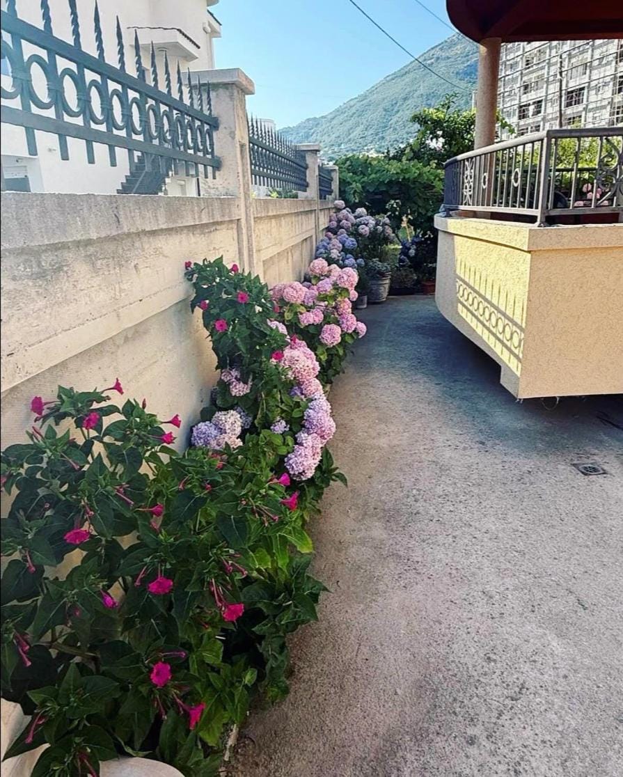Apartmani590 Hotel in Montenegro