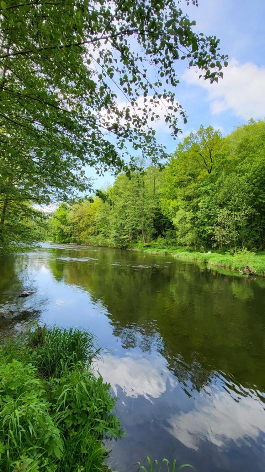Natural landscape