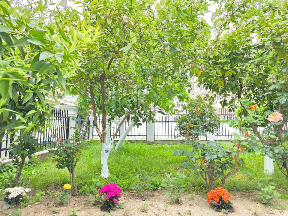Villa Kurti Bed and Breakfast in Tirana County, Albania