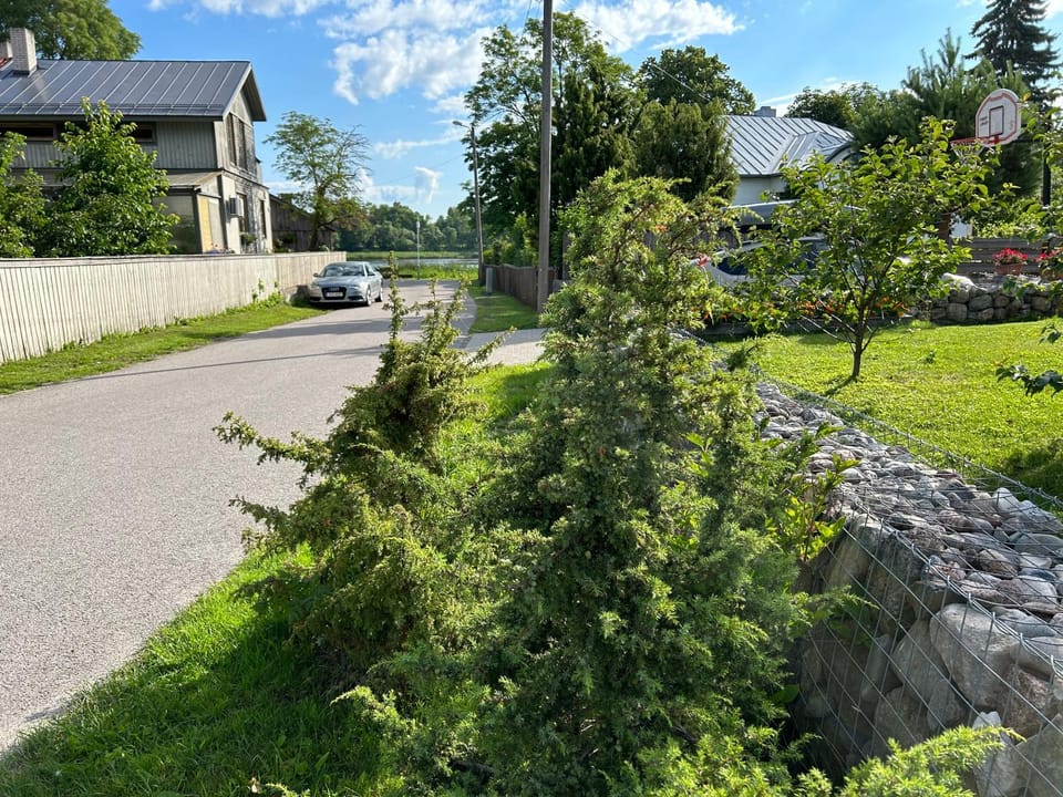 Garden, Street view, Parking