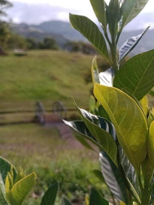 Finca La Gozadera House in Cartago Province, Costa Rica
