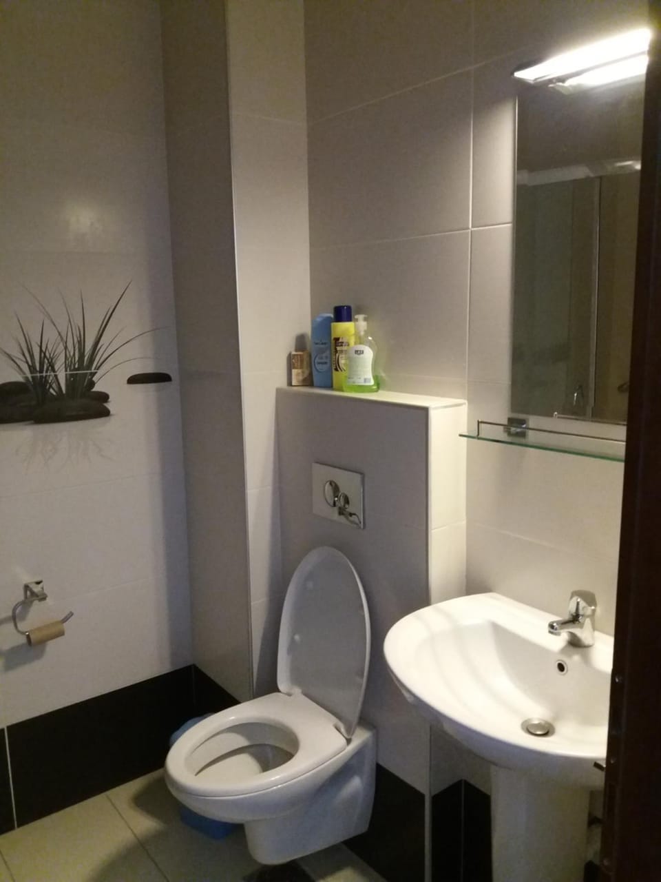 Sofia apartment Apartment in Budva