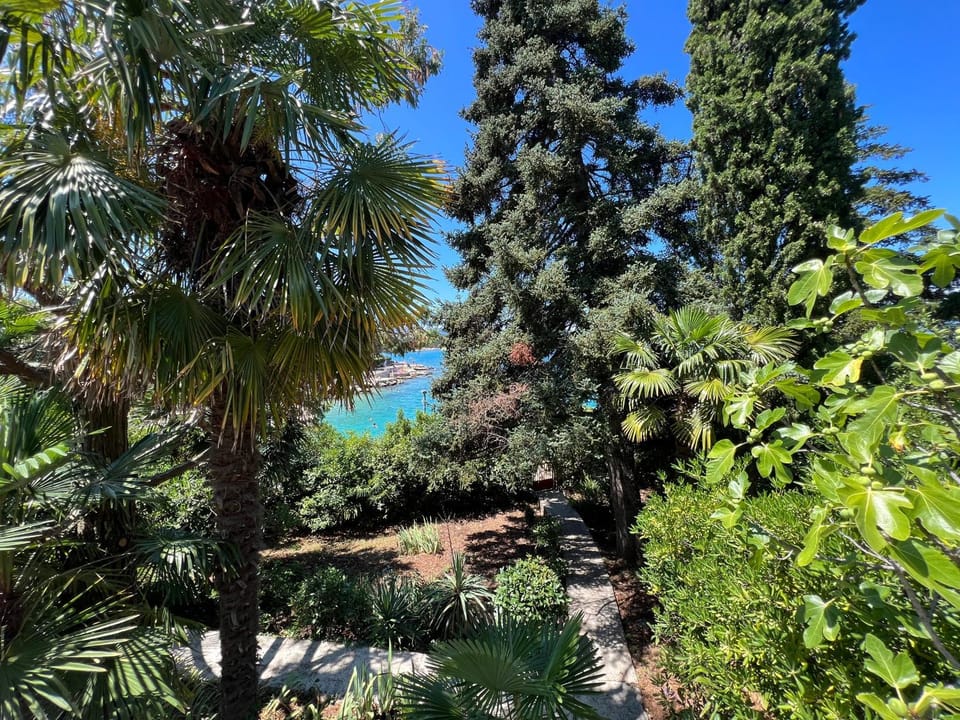 Garden, Sea view