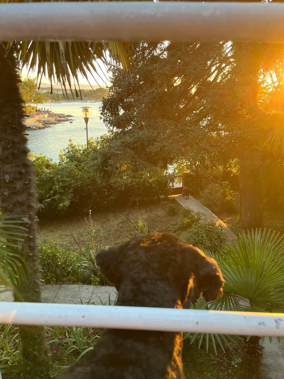 Garden, Garden view, Sea view, Sunset