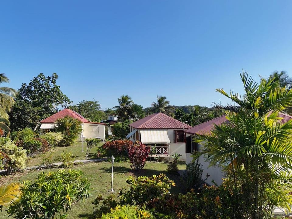 Property building, Natural landscape, Garden, Garden view