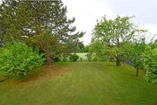 Spring, Day, Natural landscape, Garden, Garden view