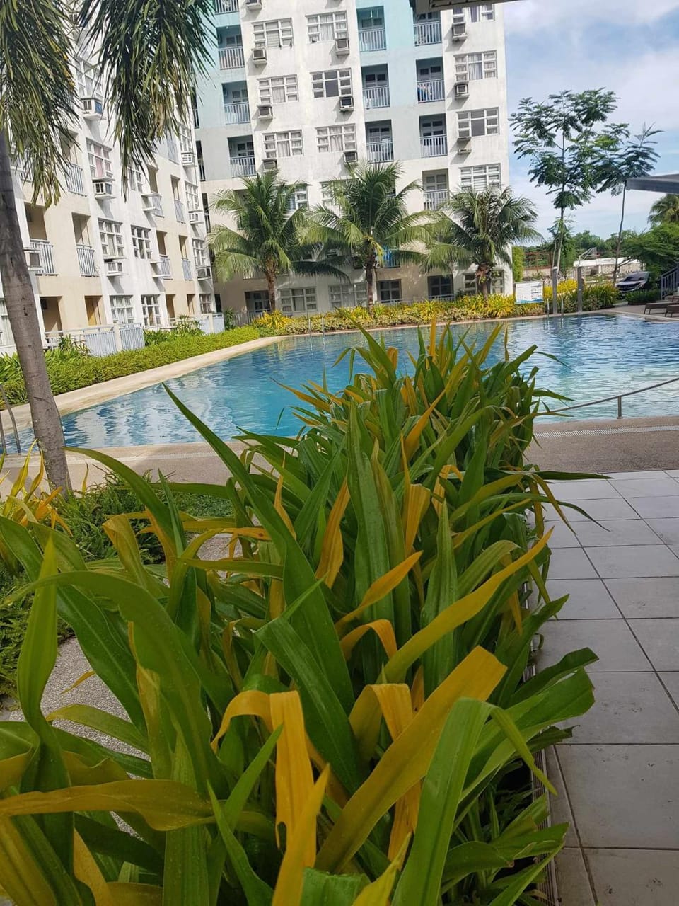 Garden, Swimming pool