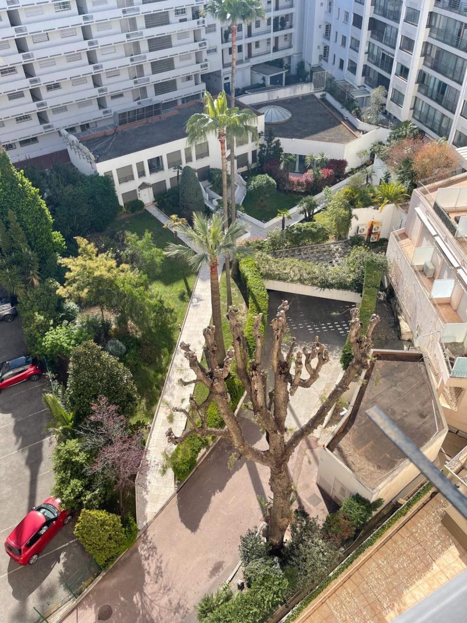 Garden view