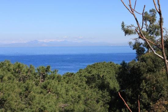 Villa Marinella Bed and Breakfast in Casamicciola Terme