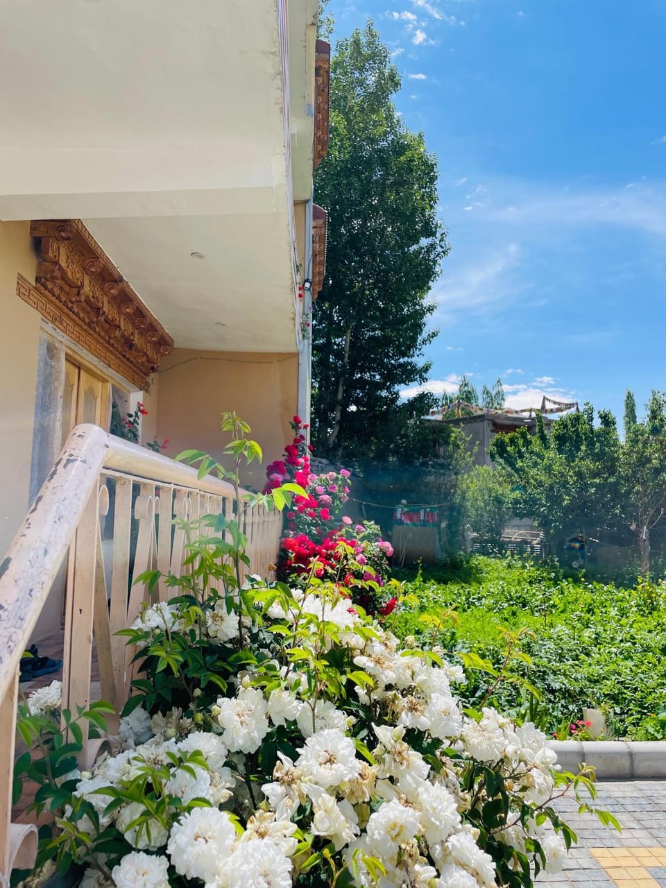 Zlatan Guest House Bed and Breakfast in India