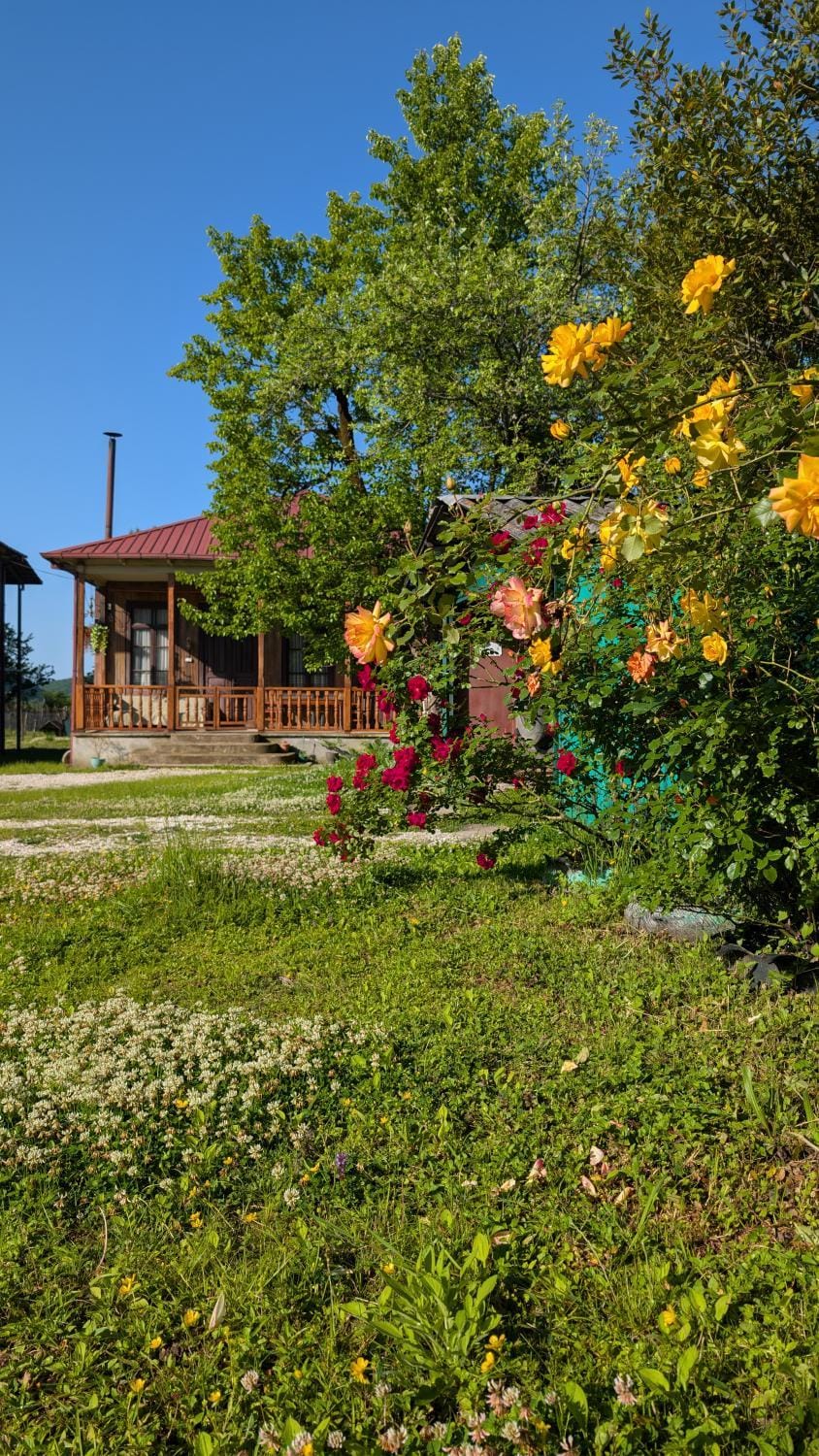 Spring, Natural landscape, Garden, Garden view