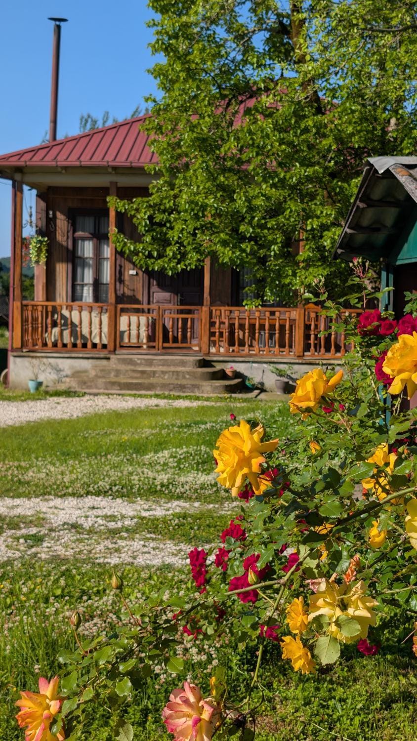 Property building, Patio, Spring, Garden, Garden view