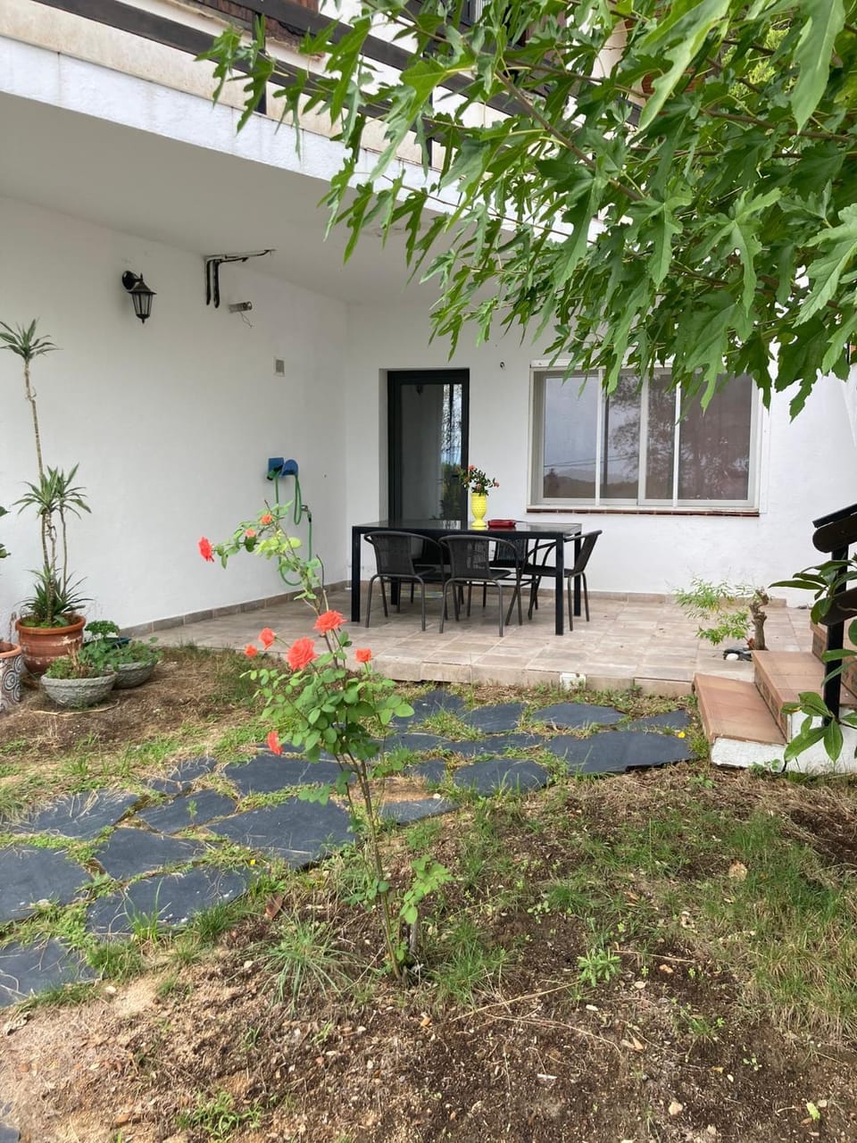 Property building, Garden, Dining area