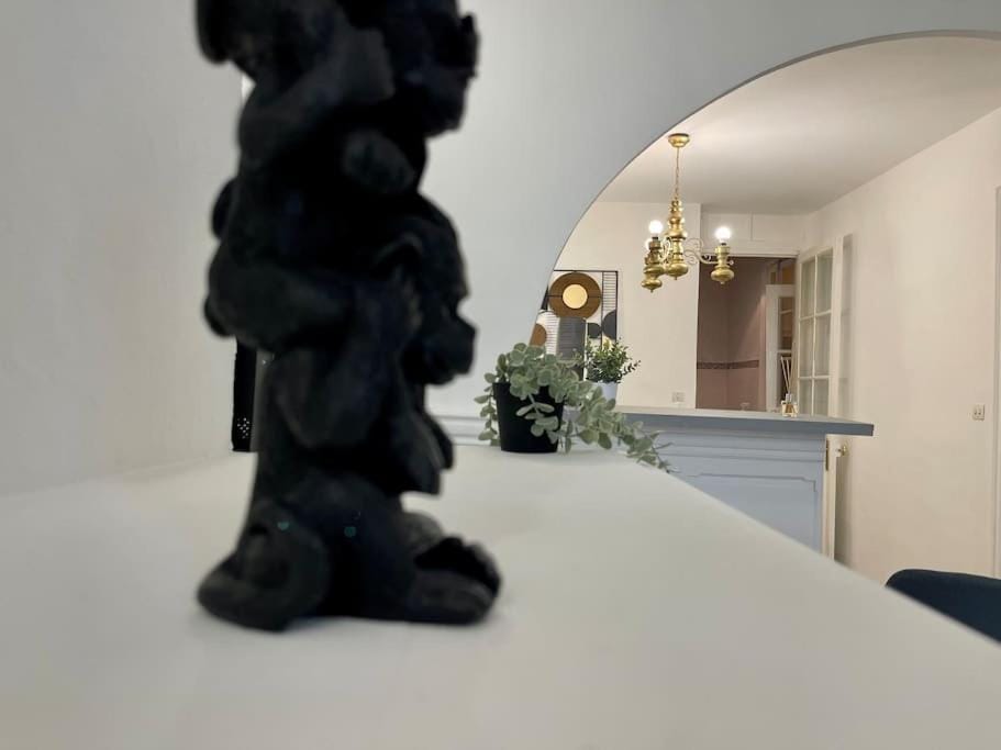Le repos du chameau ઼ climatisé Apartment in Béziers