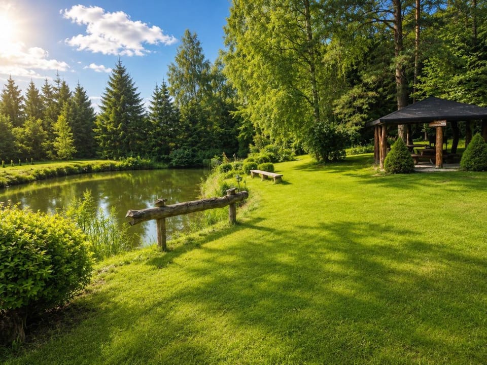 Day, Natural landscape, Garden, River view