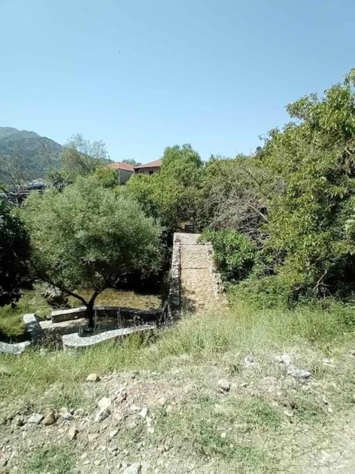 Mirto’s House House in Peloponnese Region