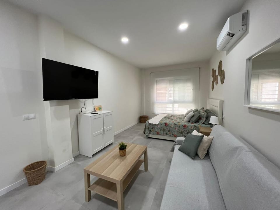Centro Estudio Trinidad Málaga 3 Apartment in Malaga