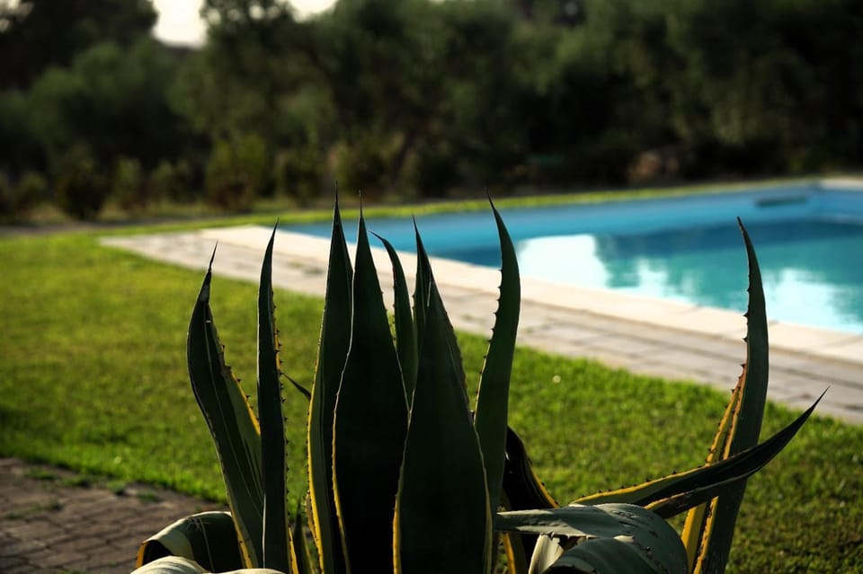 Pool view