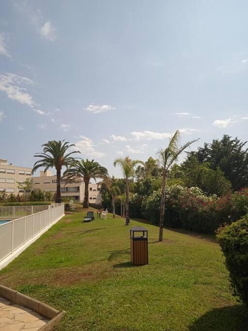 Garden, Garden view