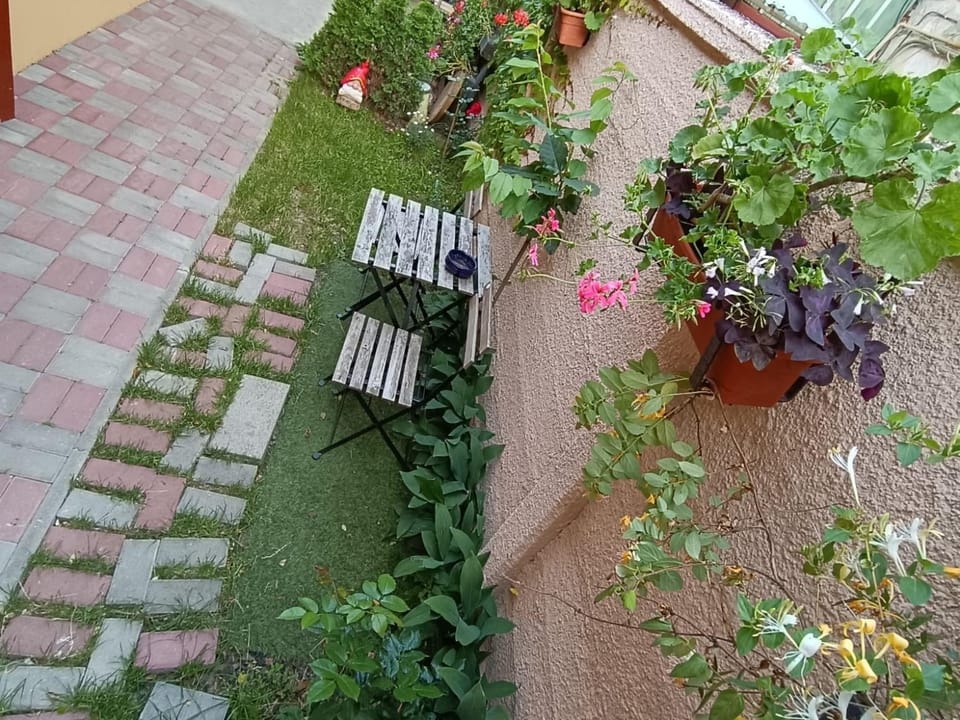 FLH - Apartament Mai cu aromă de cafea și ceai Apartment in Sibiu