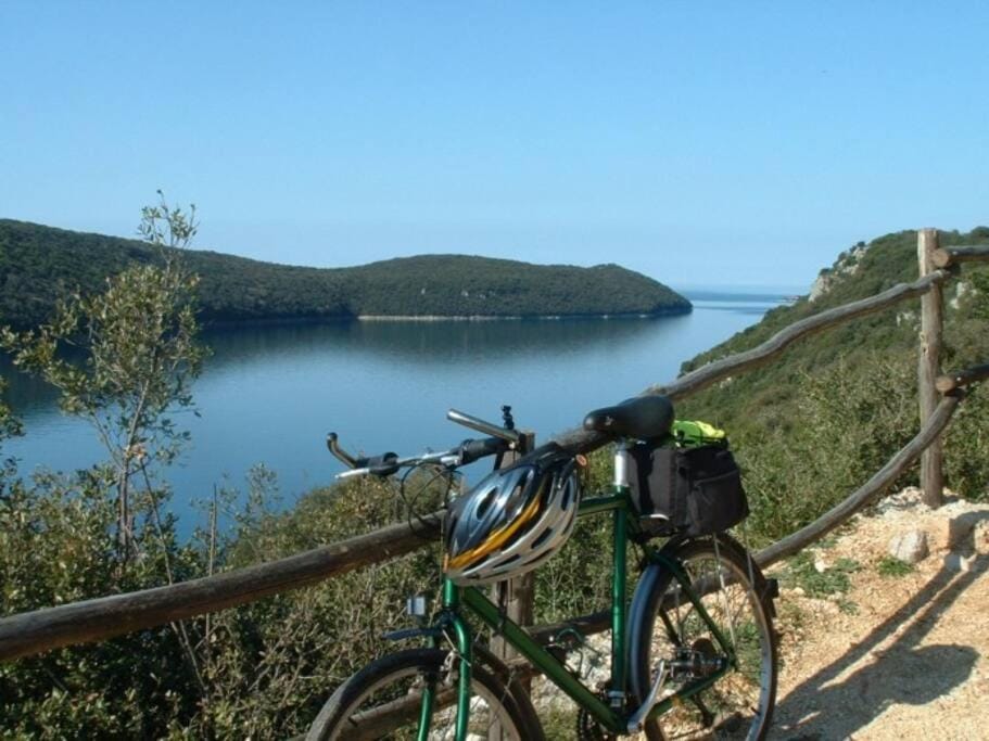 Holiday house Mateo Apartment in Istria County