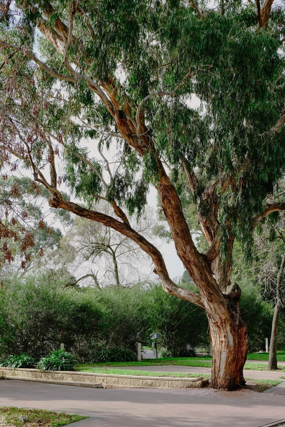 Natural landscape