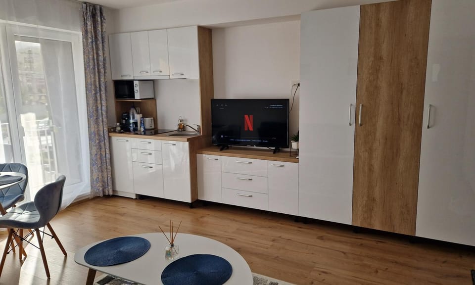 TV and multimedia, Kitchen or kitchenette, Seating area, minibar, pet friendly, stove