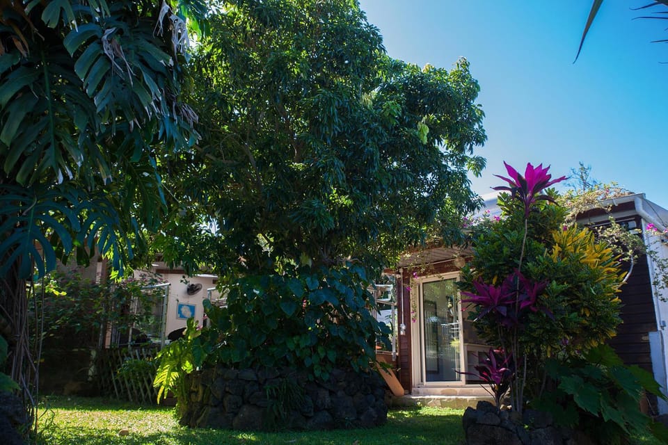 Garden, Garden view
