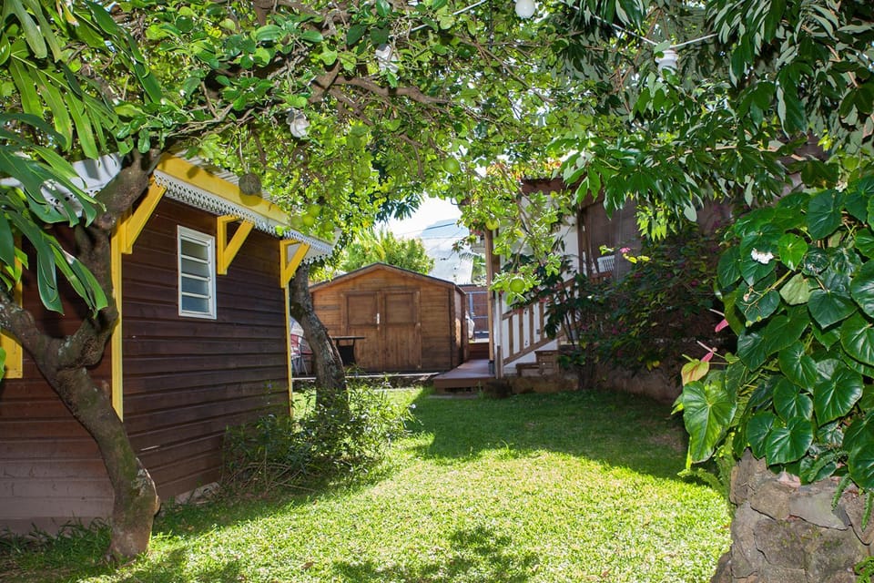 Day, Garden, Garden view
