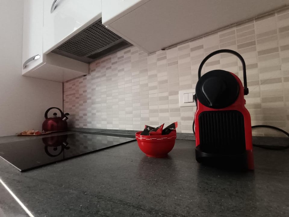 Centralissimo grazioso monolocale Apartment in Turin