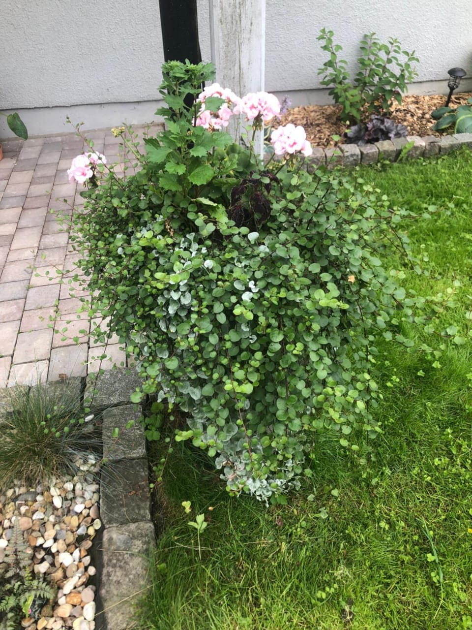 Private space with 2 bedrooms Apartment in Huddinge