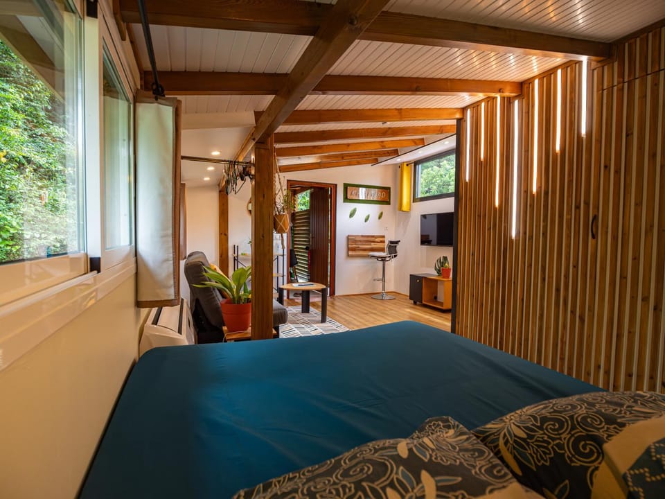 Communal lounge/ TV room, Bed, air conditioner