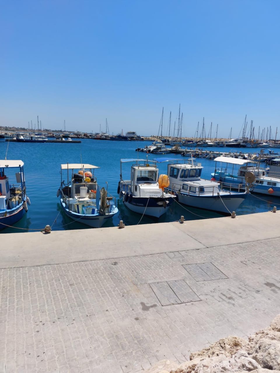 Danitsea vila Villa in Larnaca District