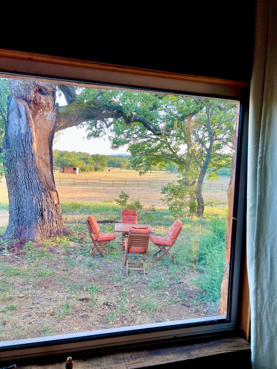 Natural landscape, Garden, Dining area, Garden view