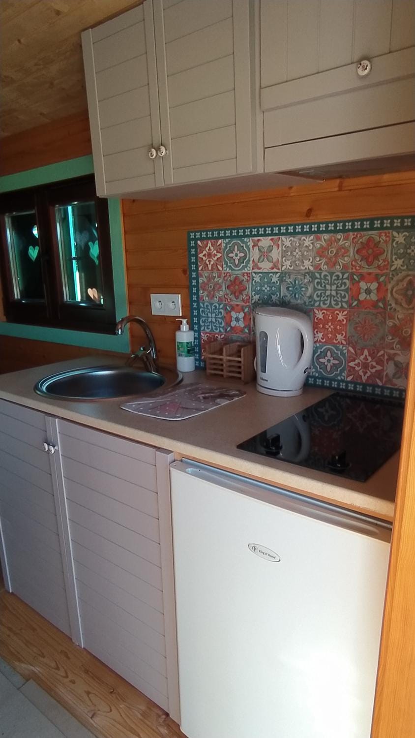 dishwasher, minibar