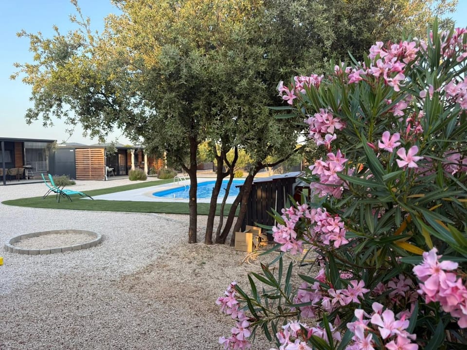 Property building, Day, Garden, Garden view, Swimming pool, sunbed