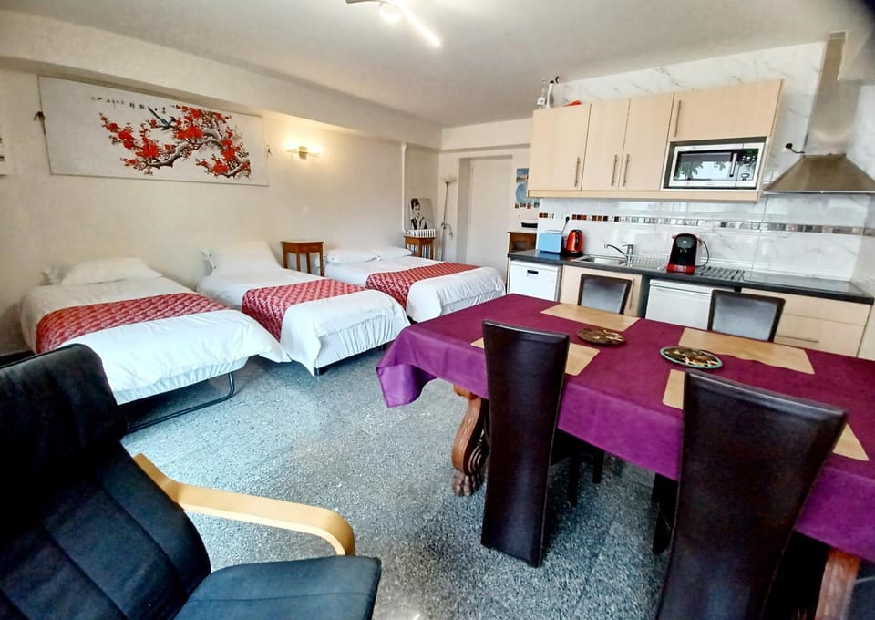 Bed, Kitchen or kitchenette, Living room, Photo of the whole room, Seating area, Dining area, Bedroom, minibar, stove, toaster