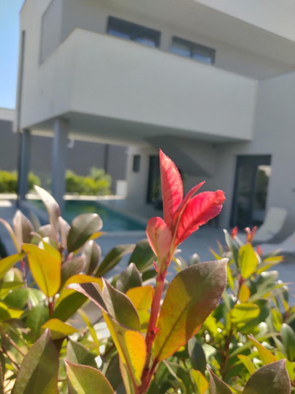 Property building, Spring, Day, Garden, Garden view
