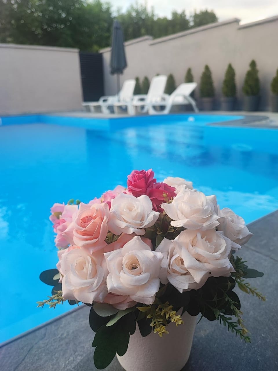 Day, Pool view, Swimming pool, sunbed