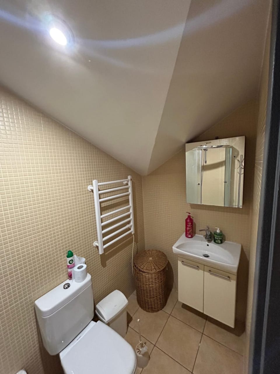 Homely 2 room apartment Apartment in Latvia