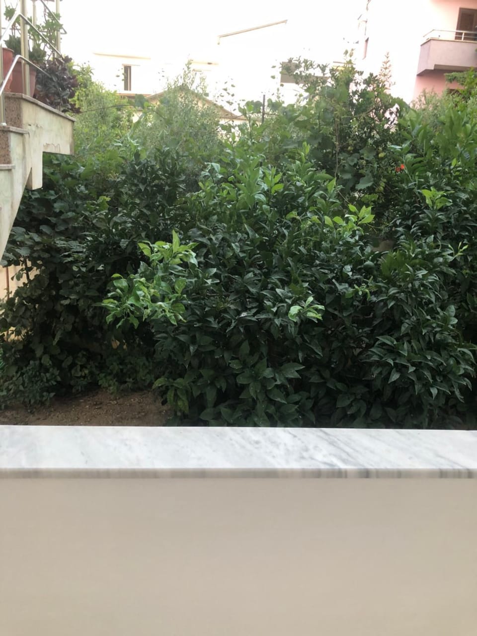 Rooms for rent Apartment in Tirana County, Albania