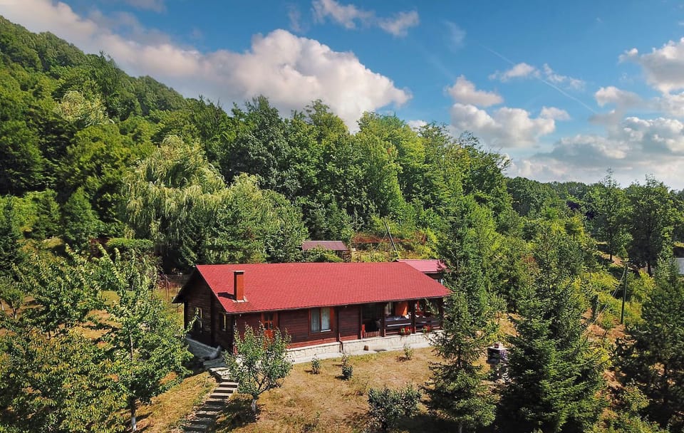 Cabana Poiana Verde House in Romania