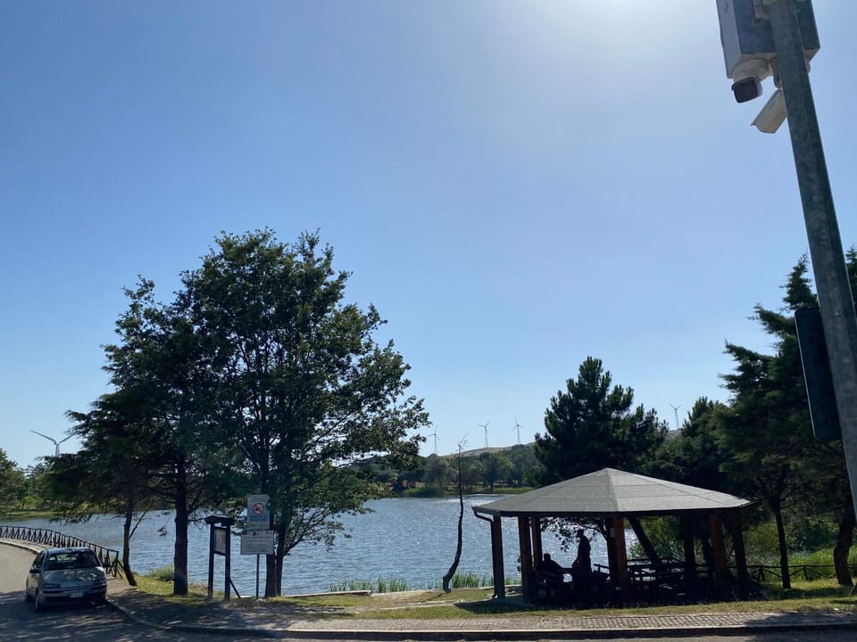 Lake view