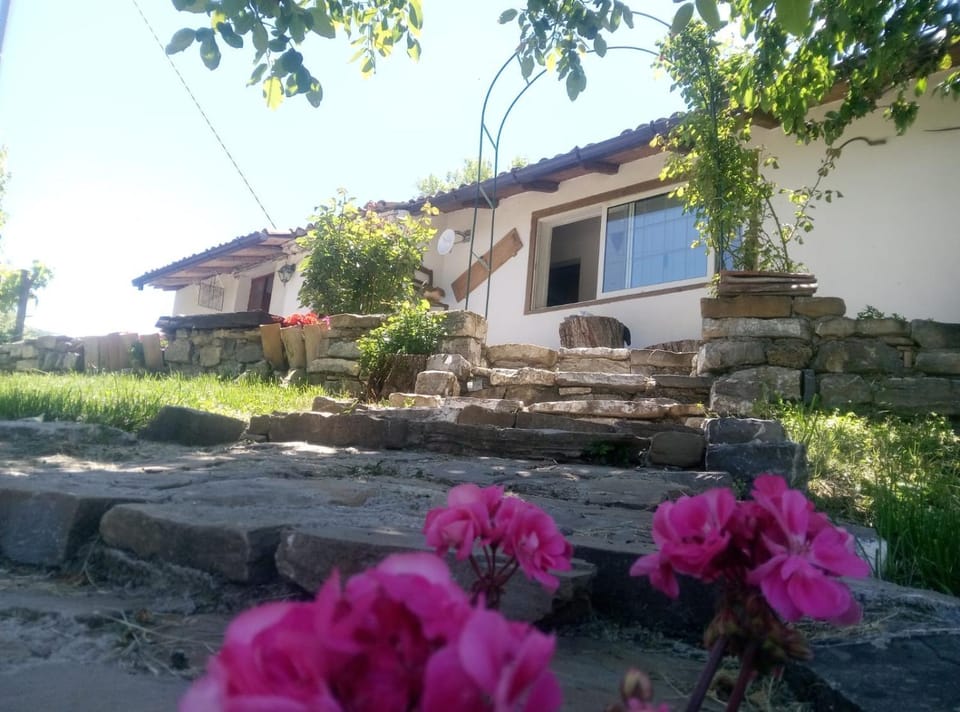 Property building, Spring, Day, Garden, Garden view