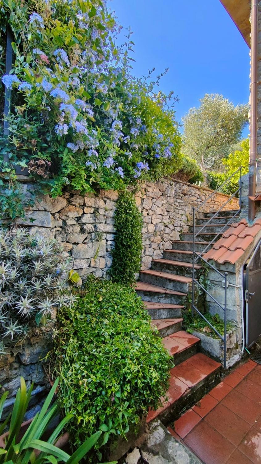 Property building, Facade/entrance, Garden