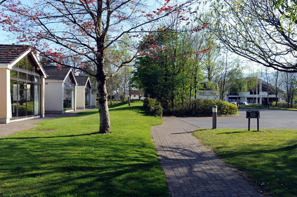 Property building, Day, Garden