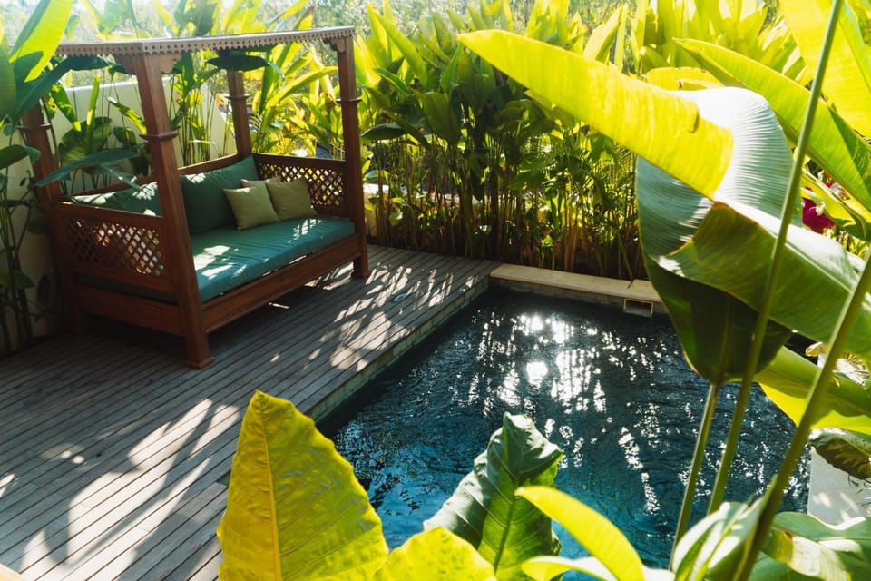 Natural landscape, Garden view, Swimming pool