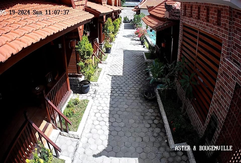 Property building, Day, Street view