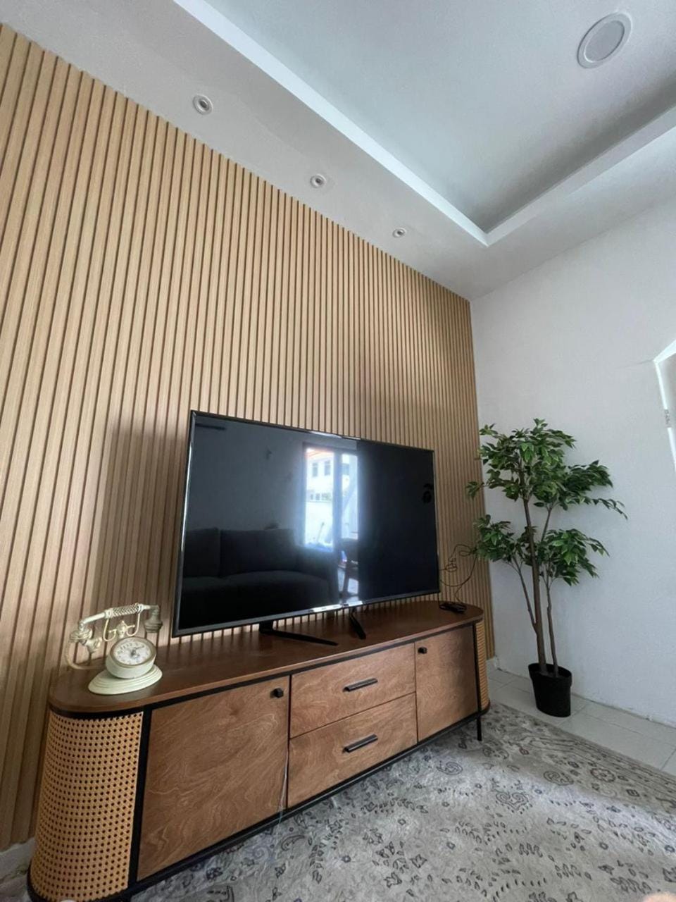 TV and multimedia