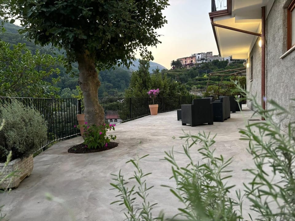 Natural landscape, Garden, Garden view, Mountain view